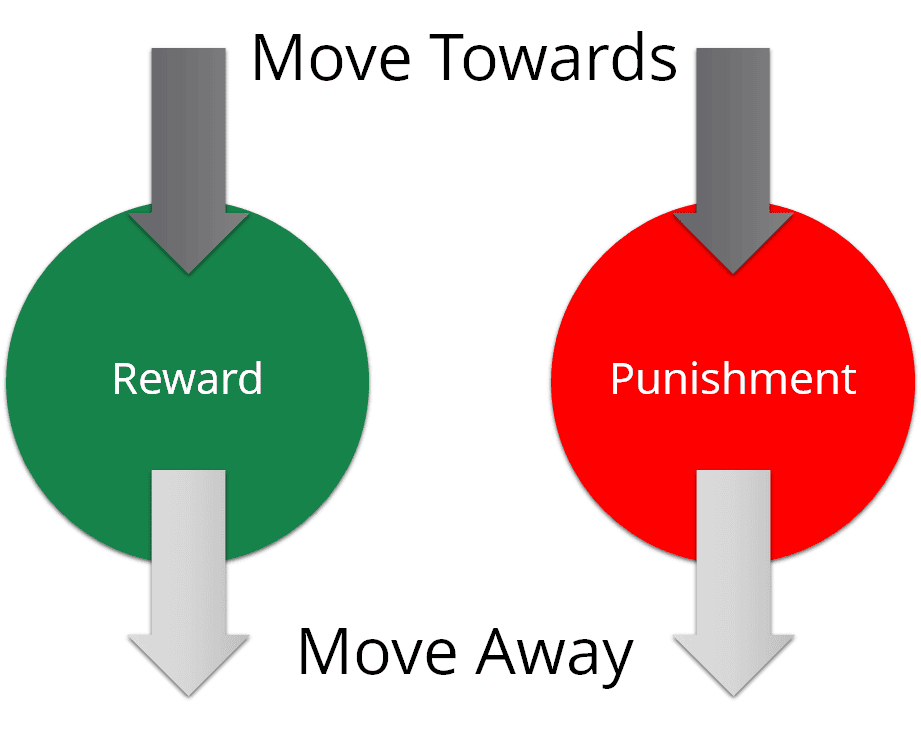 More away or towards reward and punishment